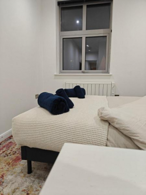 Newly Furnished Modern 1 bedroom City Apartment